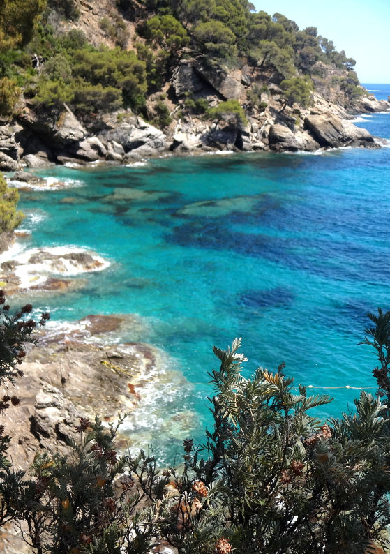Terence DEN HOED, Le Rayol-Canadel-sur-Mer FR 83, Jardin des Méditerranées, 13/07/2019