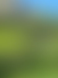 Terence DEN HOED, Gap FR 05, Domaine de Charance (Col de Guizière), 06/05/2023