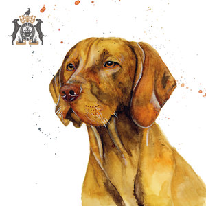 dogs in watercolour commissions