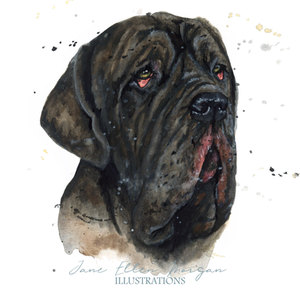 watercolour of dog