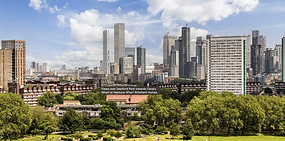RED Group Global Properties