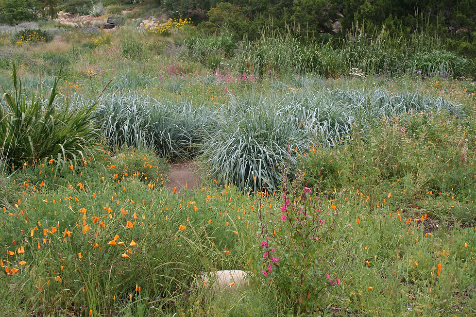 Meadow mosaic