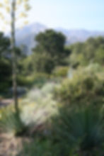 Porter Trail scene