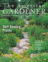 AmericanGardener7and8.jpg