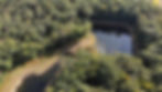 Fish Pond