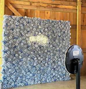 blue flowerwall_edited.jpg