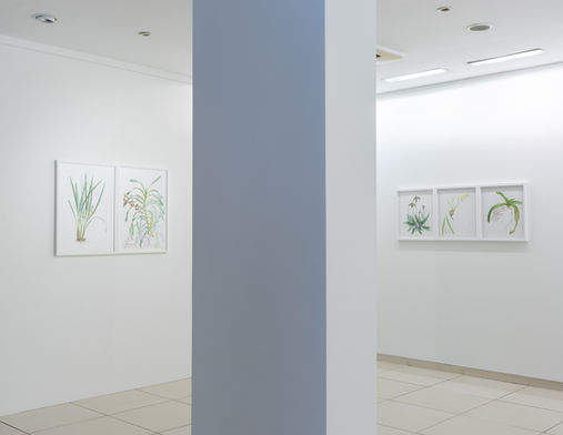 Bitimsiz, Evin Sanat Galerisi, 2019