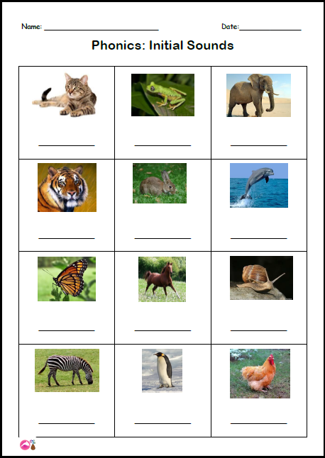 Initial Sounds - animals