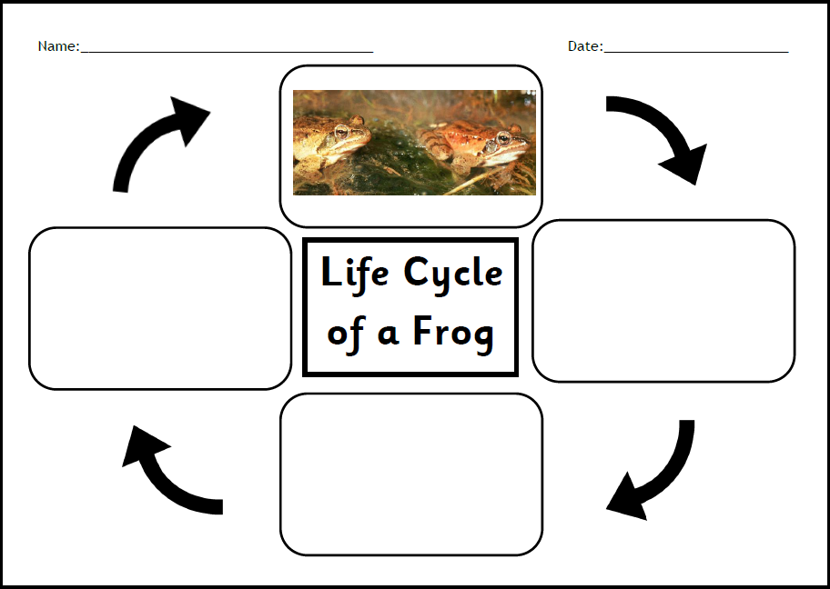 Understanding The World | thestoryseed