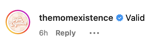 Instagram comment with a verified badge reads "themomexistence" and "Valid." Posted 6 hours ago. Comment has three reply dots.