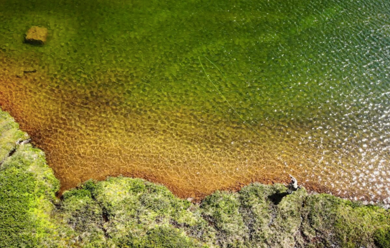 5.7 Tips for Dry Fly Fishing