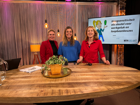 Webinar over HSP voor loopbaancoaches