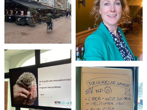 Teamdag over neurodiversiteit en prikkels