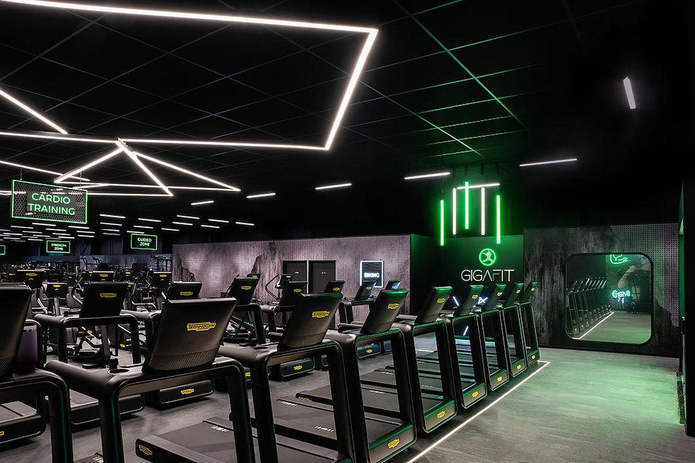 franchise gigafit 6.jpg