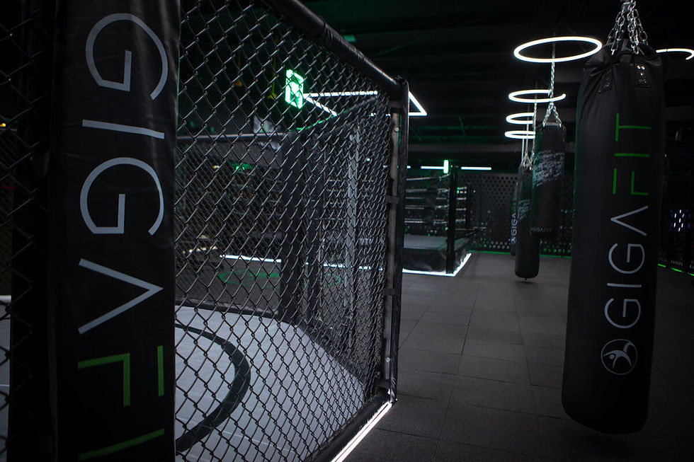 salle de sport gigafit 1.jpg