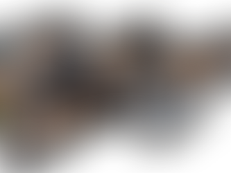 COMMUNIQUÉ OFFICIEL : LE BILAN DE 2020