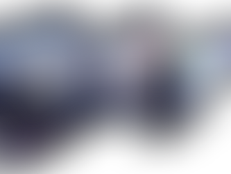 COMMUNIQUÉ OFFICIEL : LE GROUPE EMS DEVIENT MGI