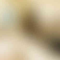 Service Wohnen Inzell Küche