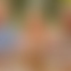 Gemeinschaft im Alter