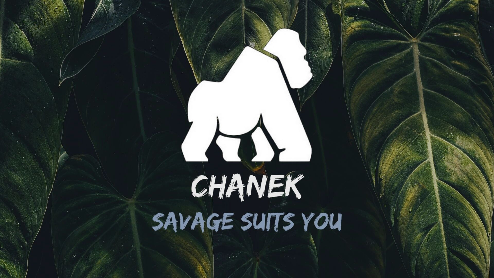 Chanek