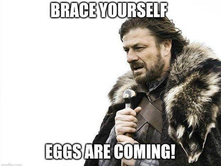 Chicken Eggs are Back!