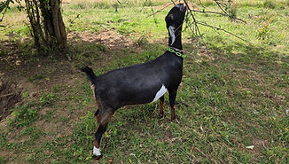 20250710_151221_edited_edited_edited.jpg