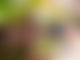 Casamento ao ar livre em Brasília