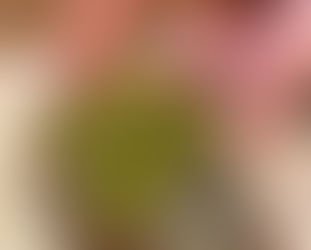 pâté de lentilles aux tomates séchées