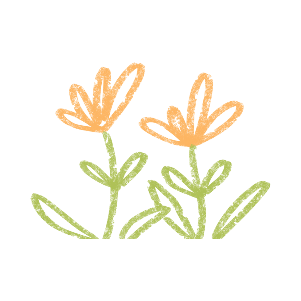 13.png