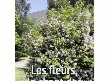 Séjour nature au printemps