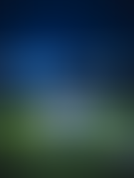 ⚽ FOOTBALL - LIGUE 2