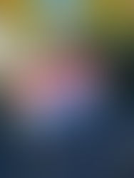 ISDD - Hersin-Coupigny : Enterrer le projet, pas la vigilance