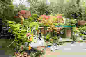 Behind the scenes at Chelsea Flower Show 2016, photo by Georgina Cook