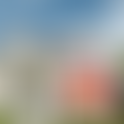 A Fresh Look, a Higher Price Tag: Exterior Painting ROI.