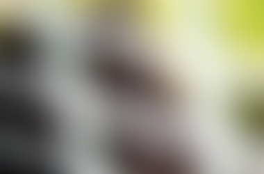 EEUU pone fin al uso de chimpancés para investigación médica