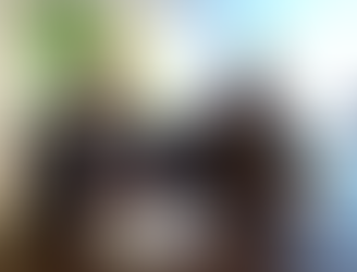 Lamenta Partido Verde la muerte de cerca de 2000 aves migratorias