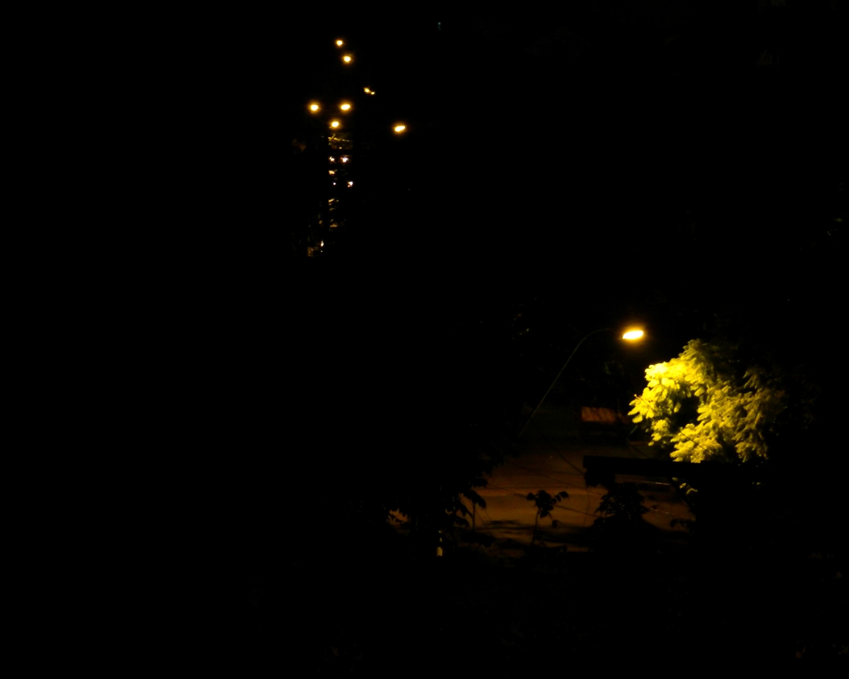 Avenida