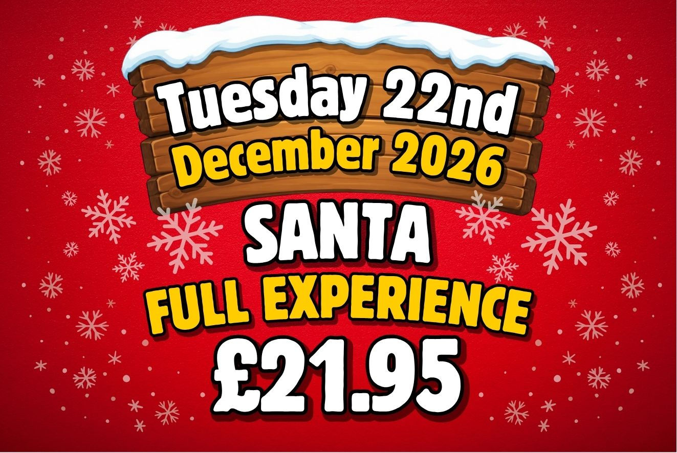 A Magical Christmas Experience - Tuesday 22nd December 2026 - Full Experience
