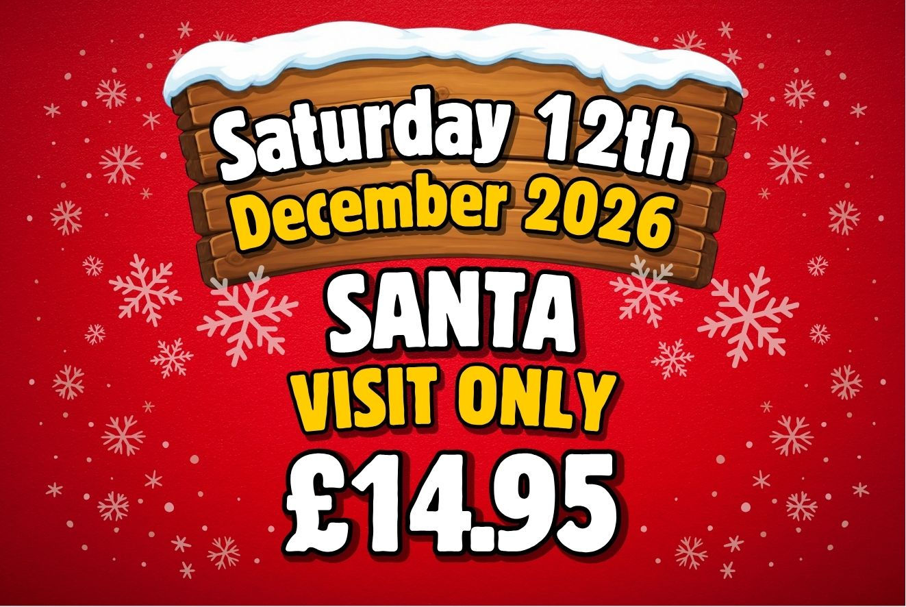 A Magical Christmas Experience - Saturday 12th December 2026 - Santa Visit Only