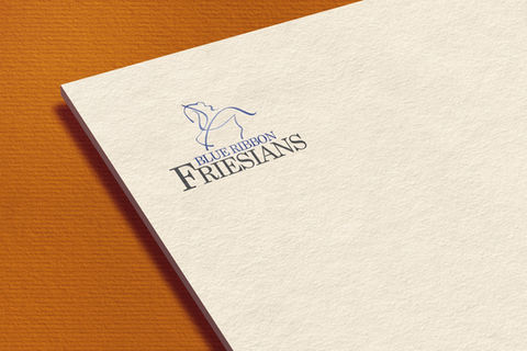Logo Design and Corporate Branding for Blue Ribbon Friesians