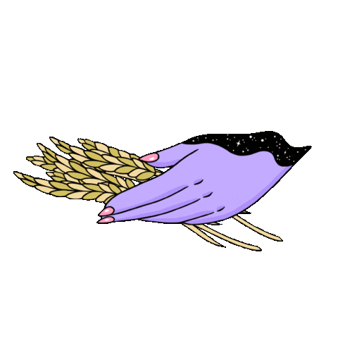 giphy-14.gif