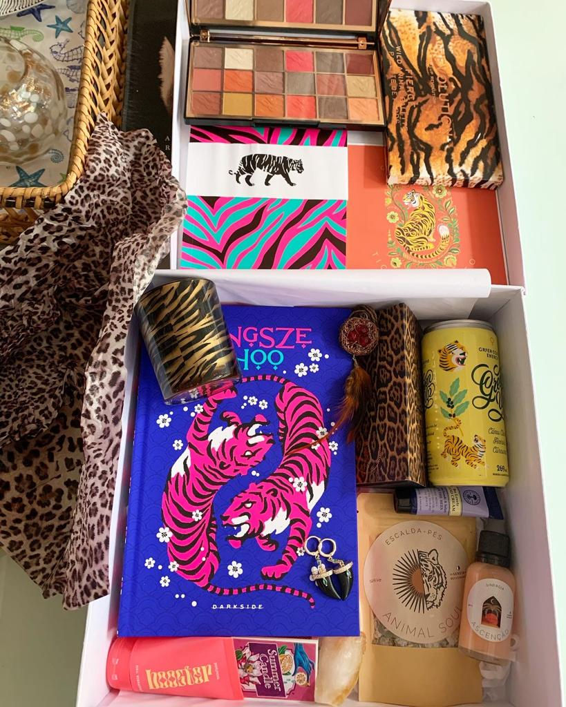 Animal Box Tigre Luminoso