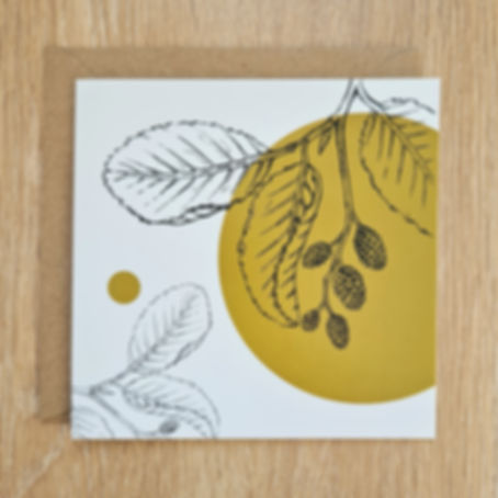 Alder Card