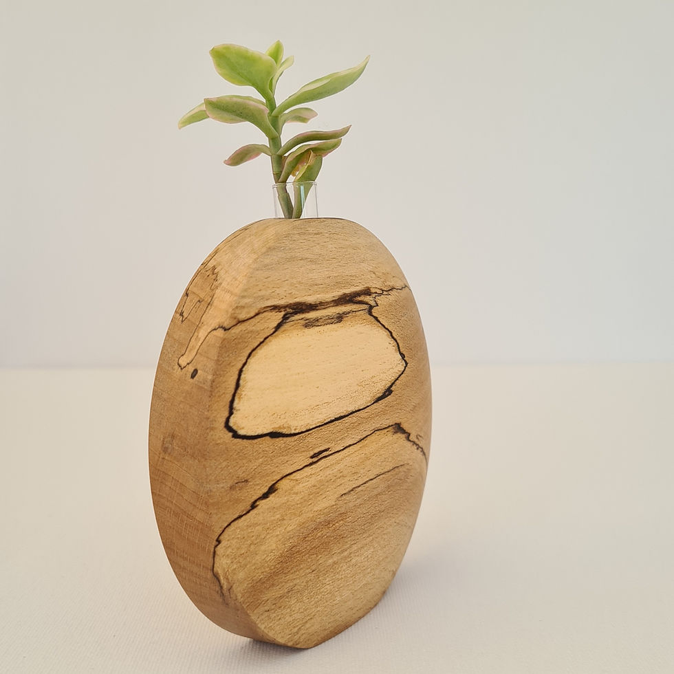 Thumbnail: Spalted Beech Propergation Vase Small 