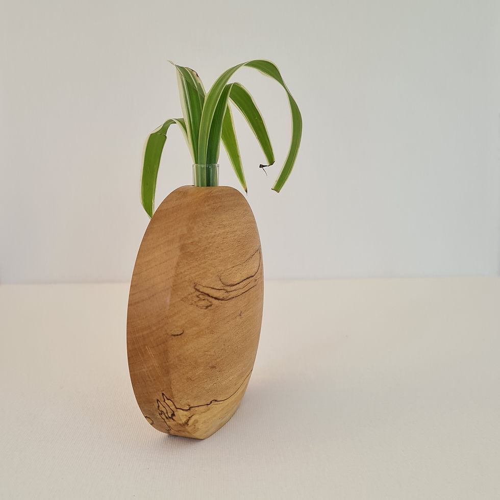 Thumbnail: Spalted Beech Propergation Vase Small 