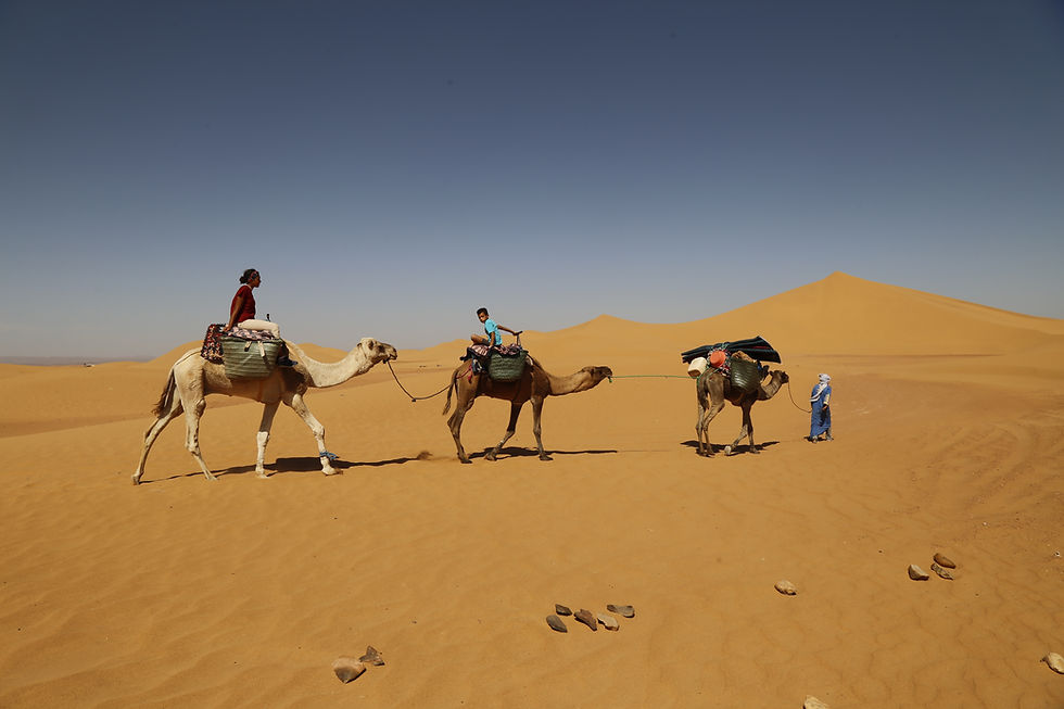 285_octobre_2020_maroc (469).JPG