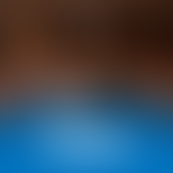 CIDH publica informe de fondo por violación de garantías judiciales y protección judicial en Argentina