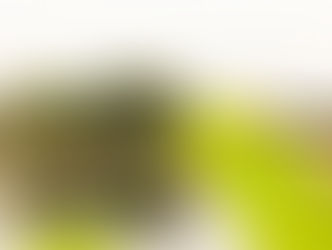 20+ PHOTOS TO INSPIRE YOUR NEXT TRIP TO THAILAND