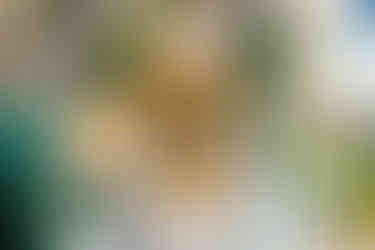 Floral offerings at a shrine