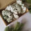 Thumbnail: Linen Scrunchie Gift Set (4pcs) S25#004